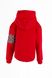 Реглан Красный с капюшоном Calvin Klein, Красный, 128