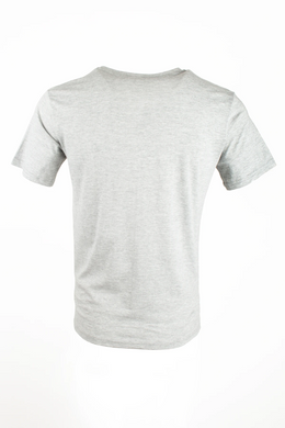 Чоловіча футболка NEW Hampshire Herren T-Shirt, Cірий, 2XL