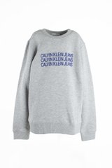 Реглан сірий з принтом Calvin Klein, Cірий
