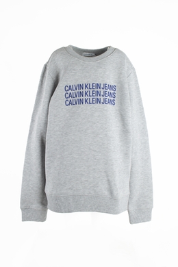 Реглан сірий з принтом Calvin Klein, Cірий, 152